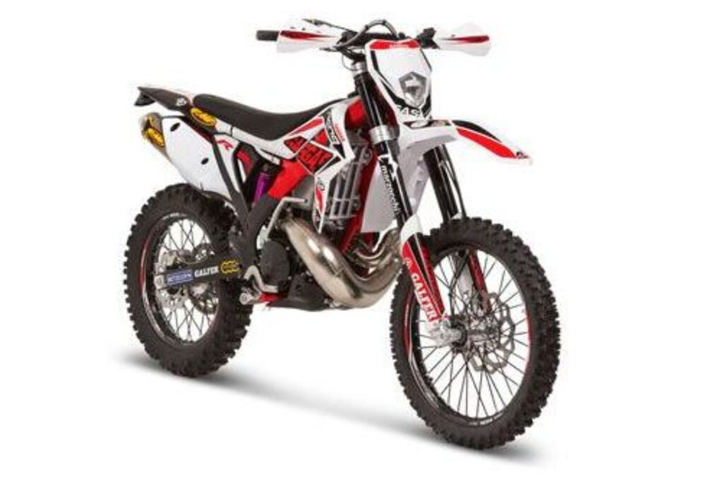 GASGAS EC 450 4T H Racing (2012 - 14) (4)