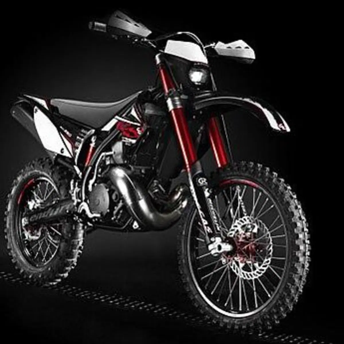 GASGAS EC 300 (2010)