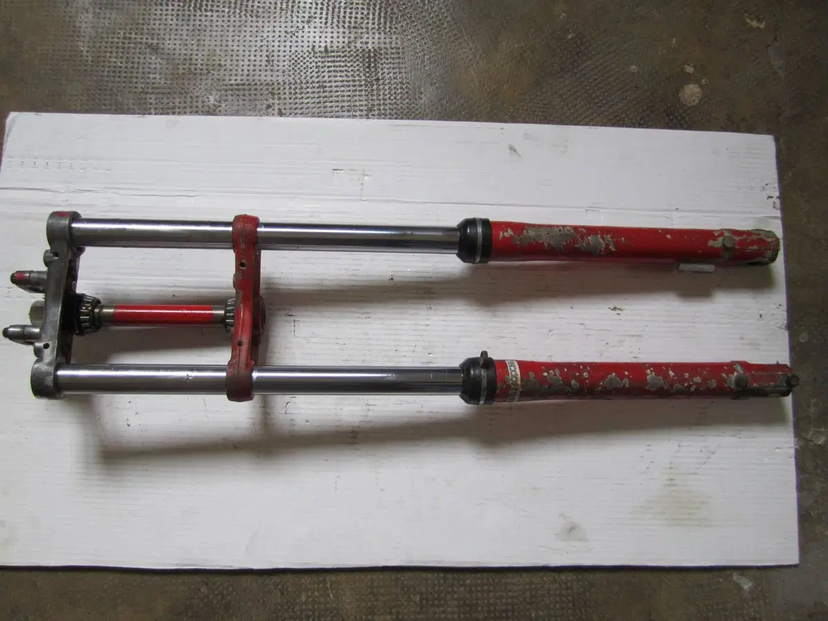 Cimatti KAIMAN  X21 (2)