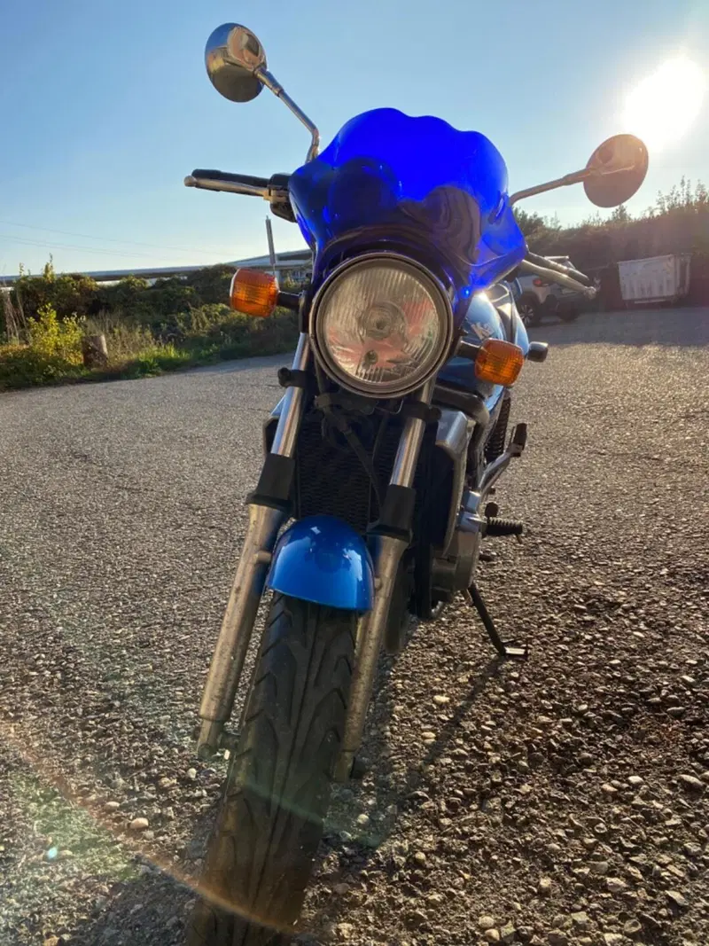 Kawasaki ER-5 500 (2001 - 06) (2)