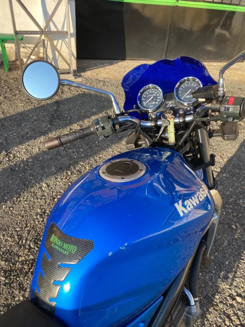 Kawasaki ER-5 500 (2001 - 06) (6)