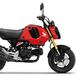 Anche l'Honda MSX 125 Grom si aggiorna per il 2023