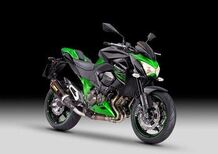 Kawasaki Z 800 Performance (2013 - 13)