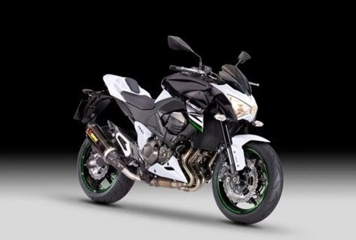 Kawasaki Z 800 Z 800 Performance (2013 - 13) (2)