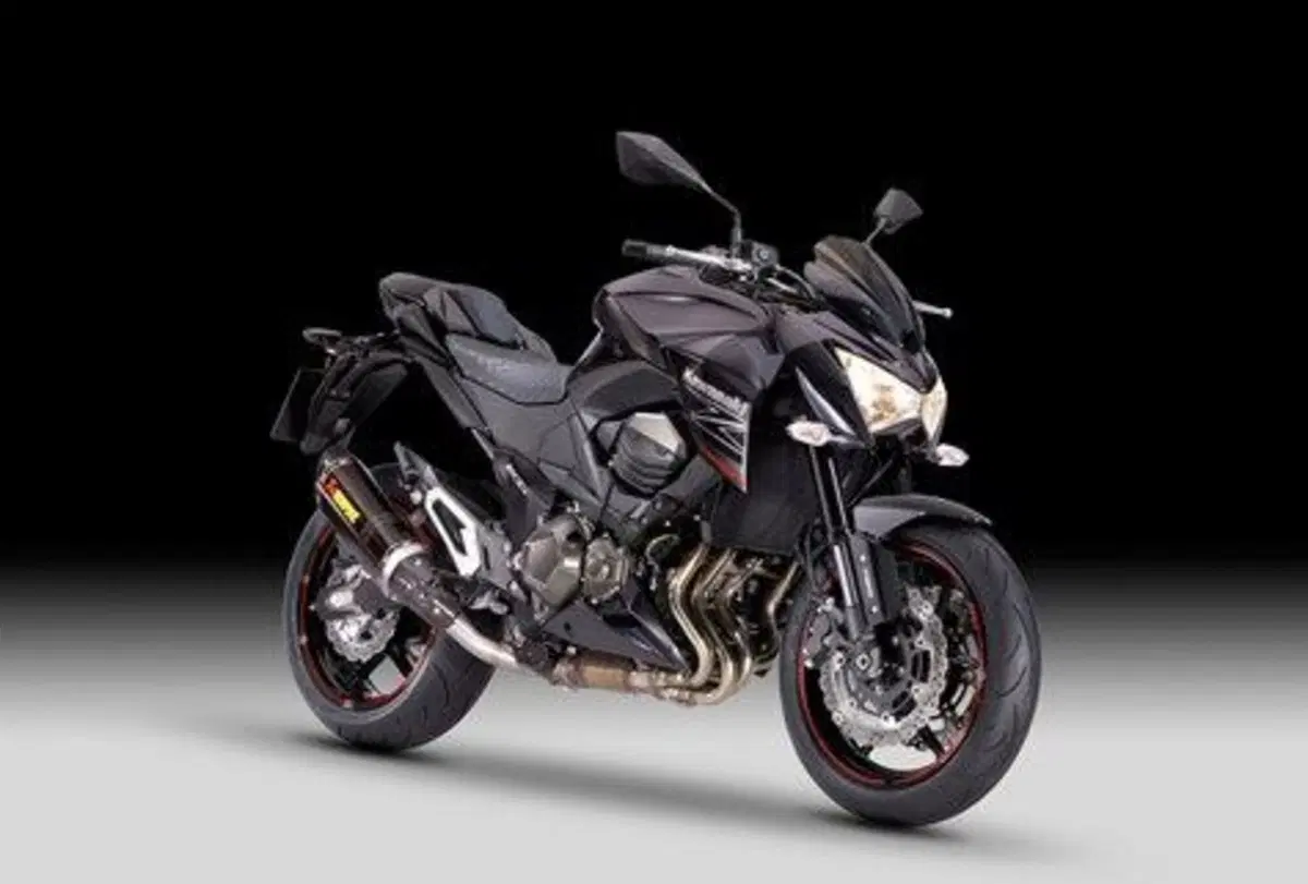 Kawasaki Z 800 Z 800 Performance (2013 - 13) (3)