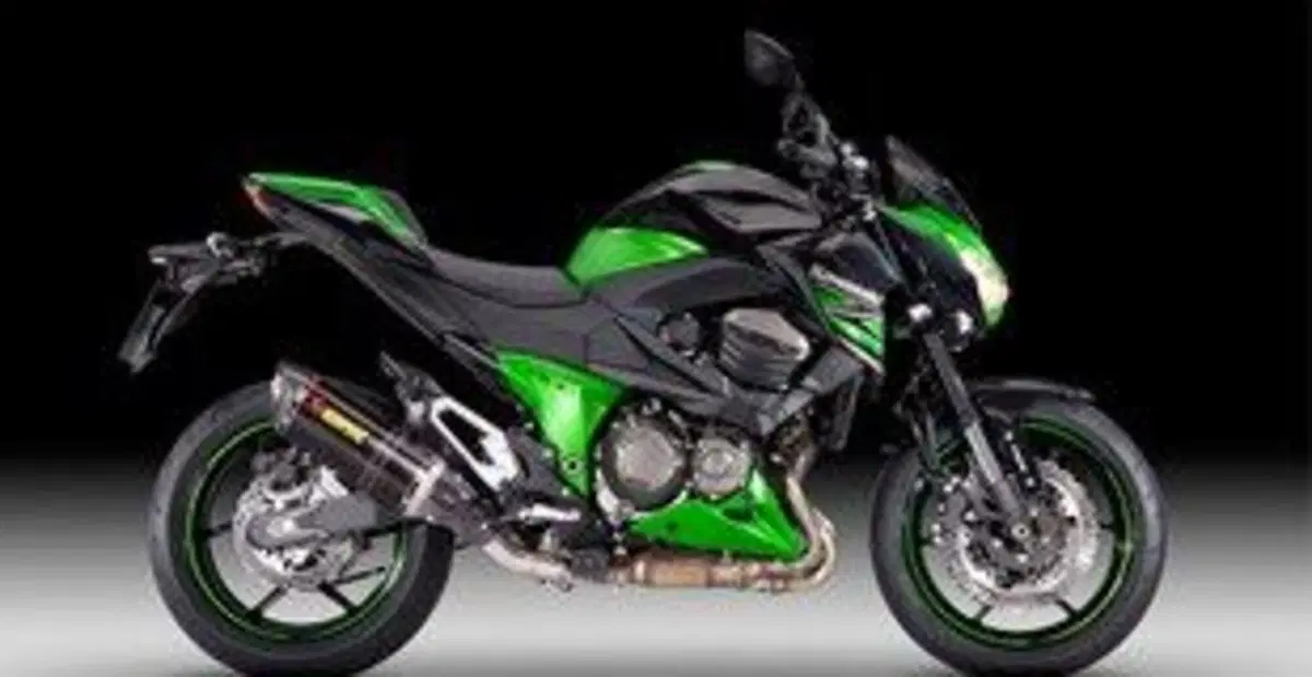 Kawasaki Z 800 Z 800 Performance (2013 - 13) (4)