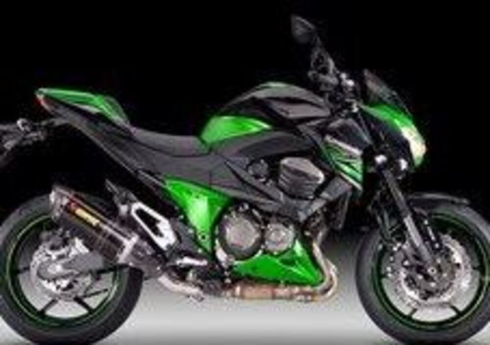 Kawasaki Z 800 Performance (2013 - 13) (4)