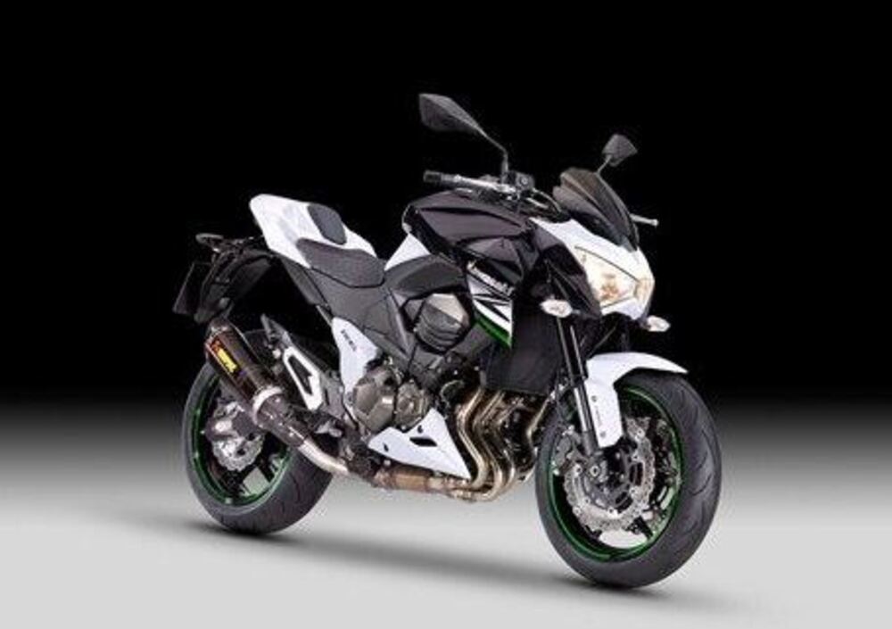 Kawasaki Z 800 Performance ABS (2013) (2)