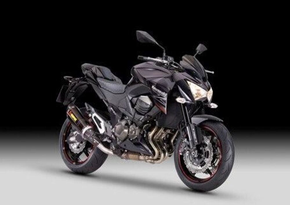 Kawasaki Z 800 Performance ABS (2013) (3)