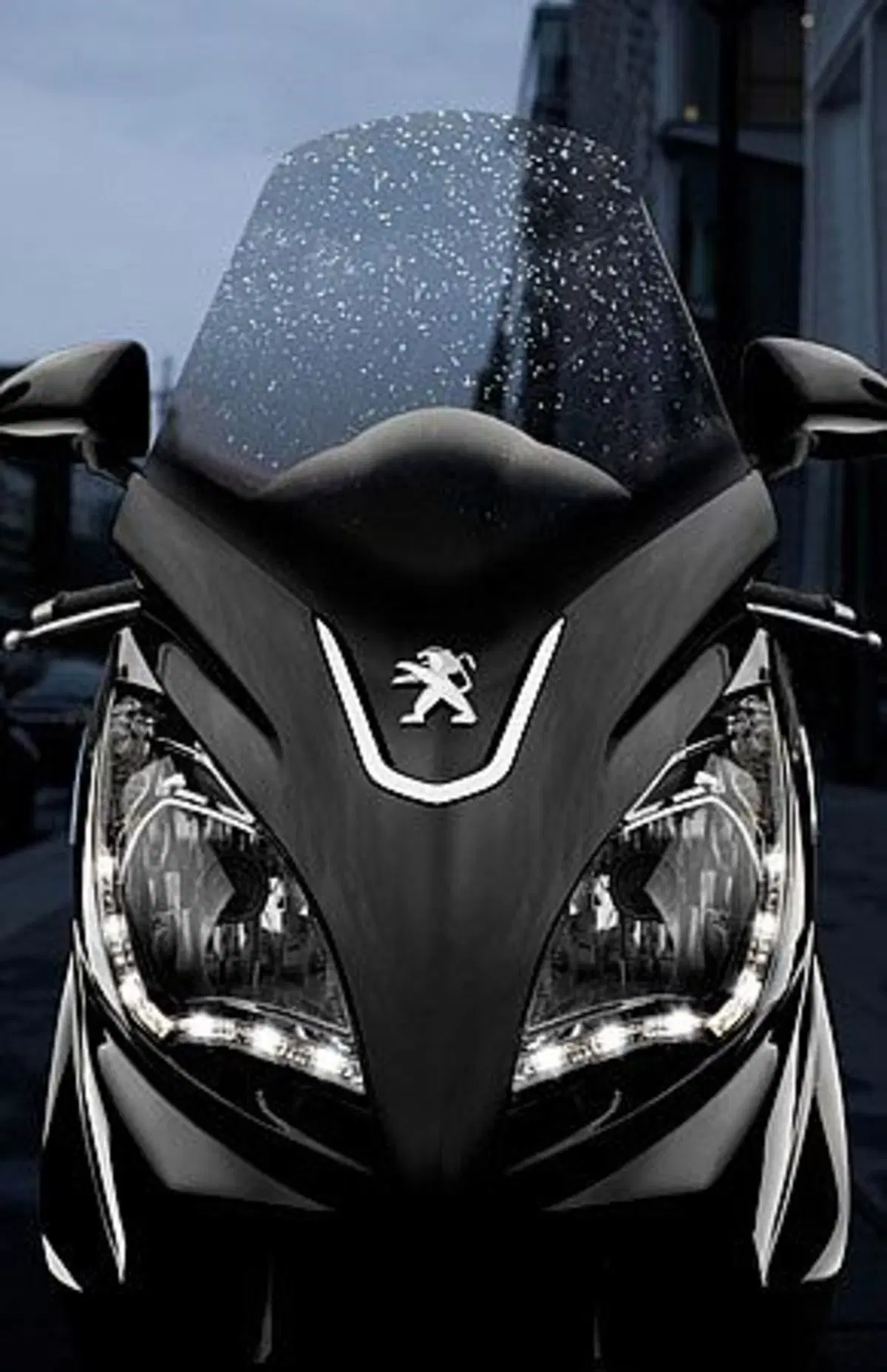 Peugeot Satelis 300 Satelis 300 (2013 - 16) (4)