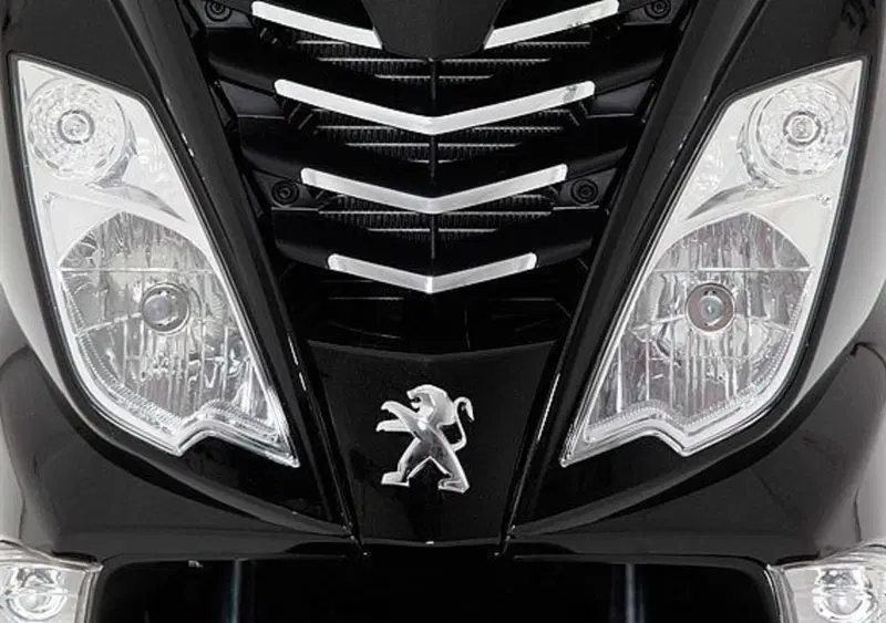 Peugeot Citystar 200 Citystar 200i (2012 - 17) (4)