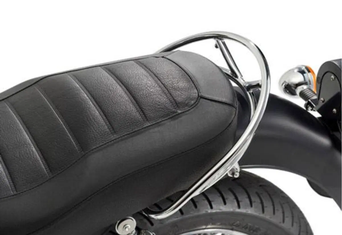 Moto Guzzi California 1100 California 1100 Aquila Nera (2010 - 11) (4)