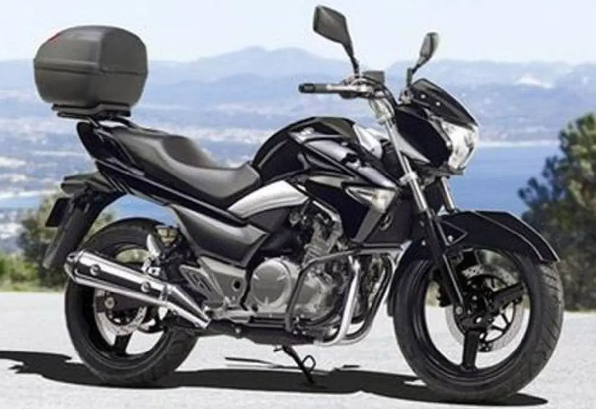 Suzuki Inazuma 250 Inazuma 250 Plus (2012 - 16) (2)