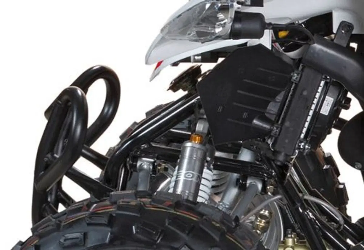 Aeon Cobra 400 Cobra 400 (2008 - 17) (6)