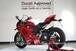 Ducati Panigale V4 R 1000 (2019 - 20) (10)