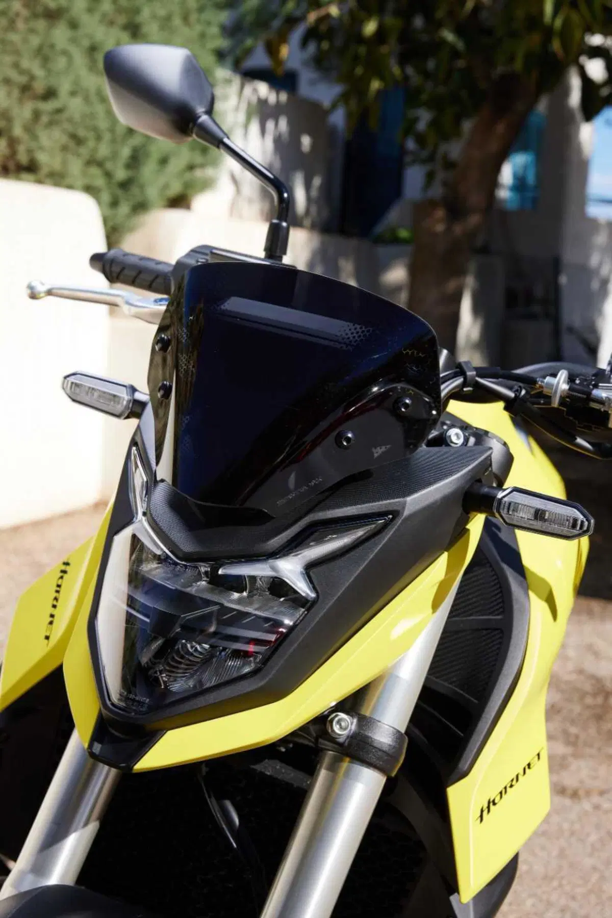 Honda Hornet (7)