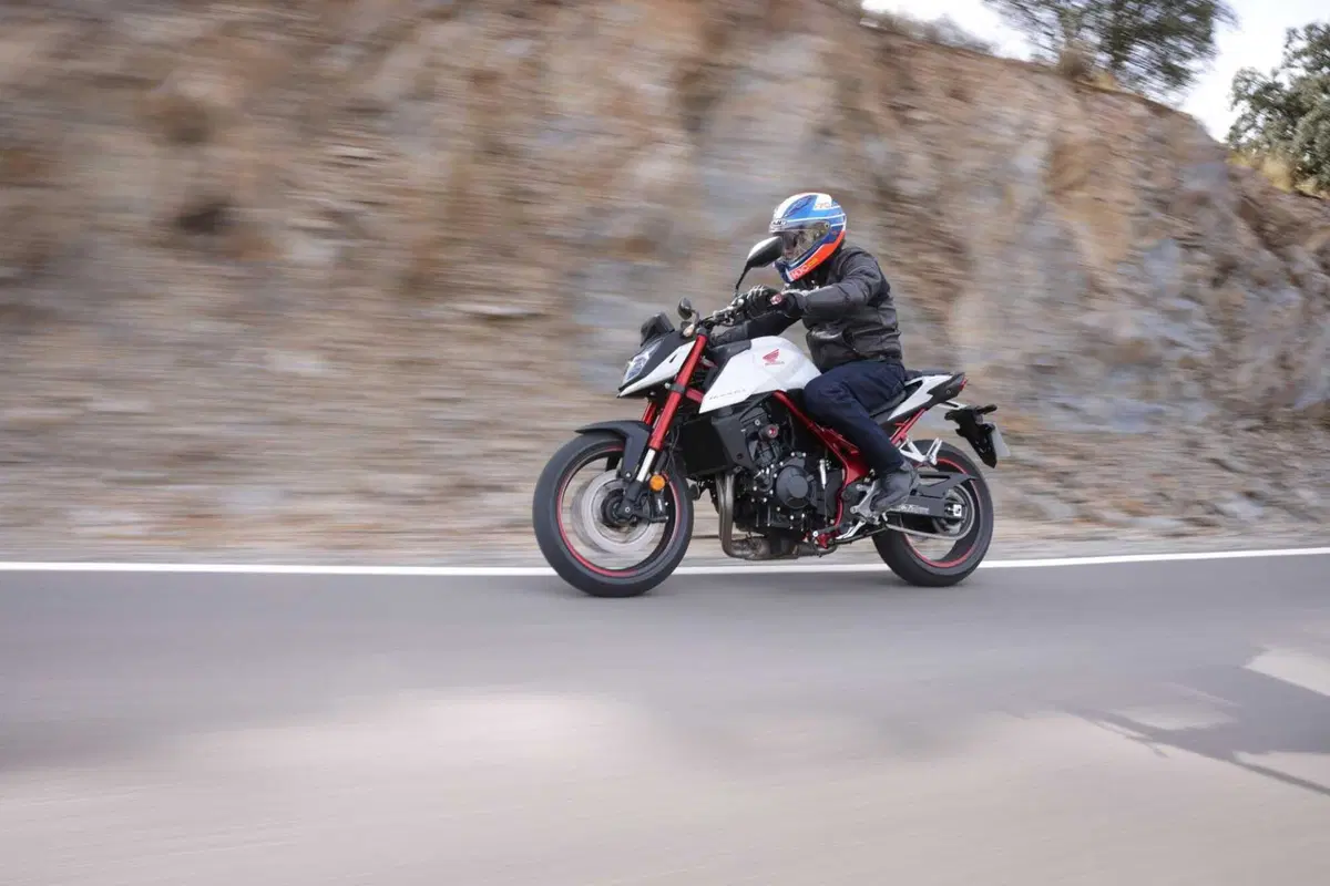 Honda Hornet (18)