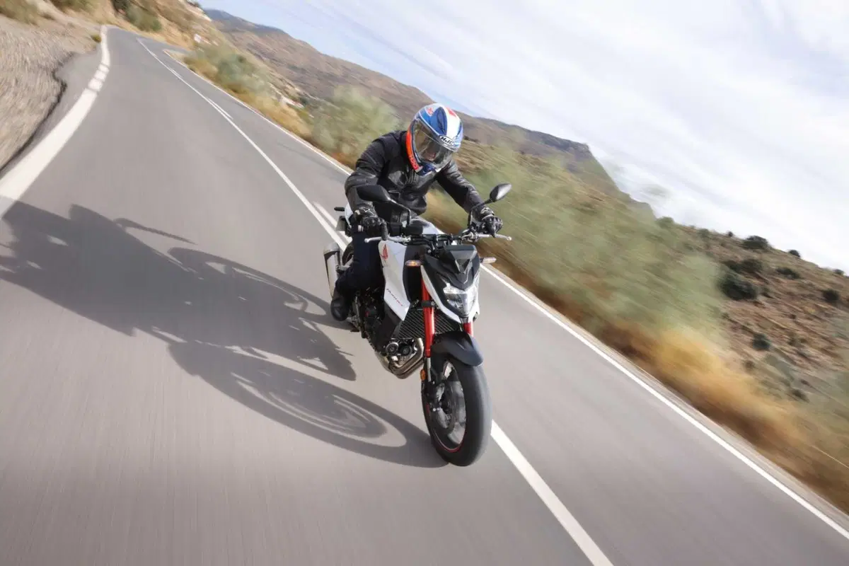 Honda Hornet (17)