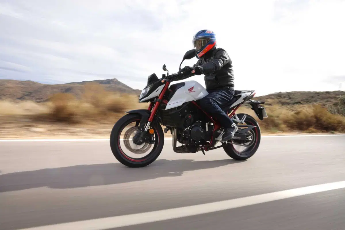 Honda Hornet (19)