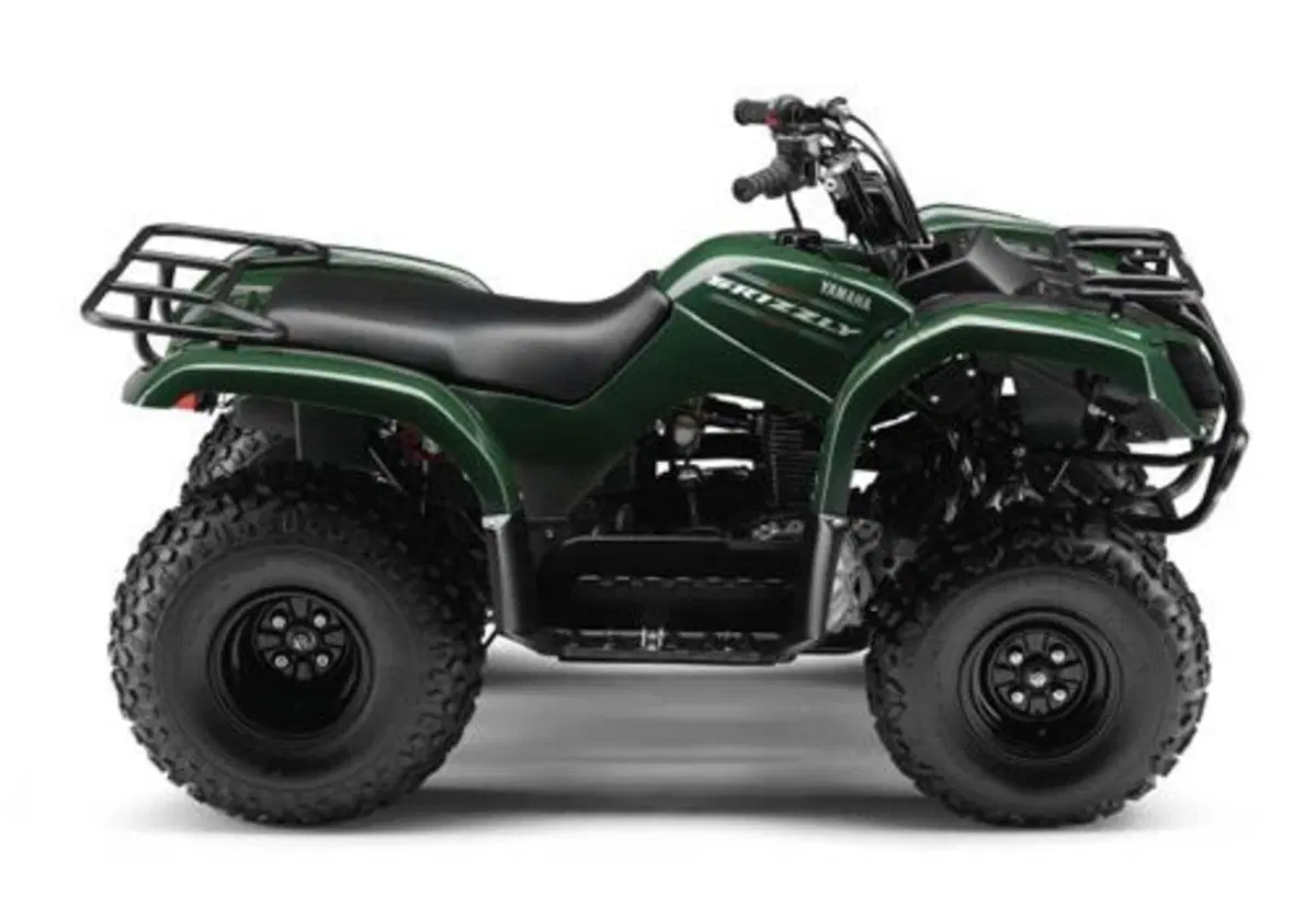 Yamaha Grizzly 125 Grizzly 125 (2007 - 13) (3)