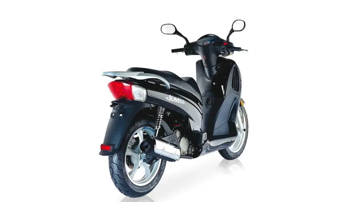 WT Motors Jungle 151 (2013 - 20)