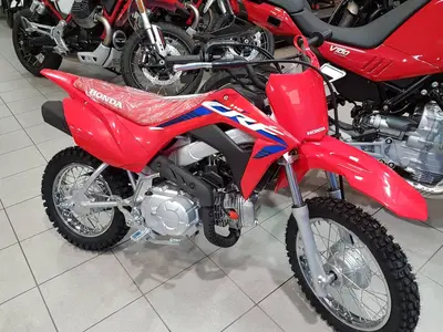 Honda CRF 50F (2023 - 26) nuova