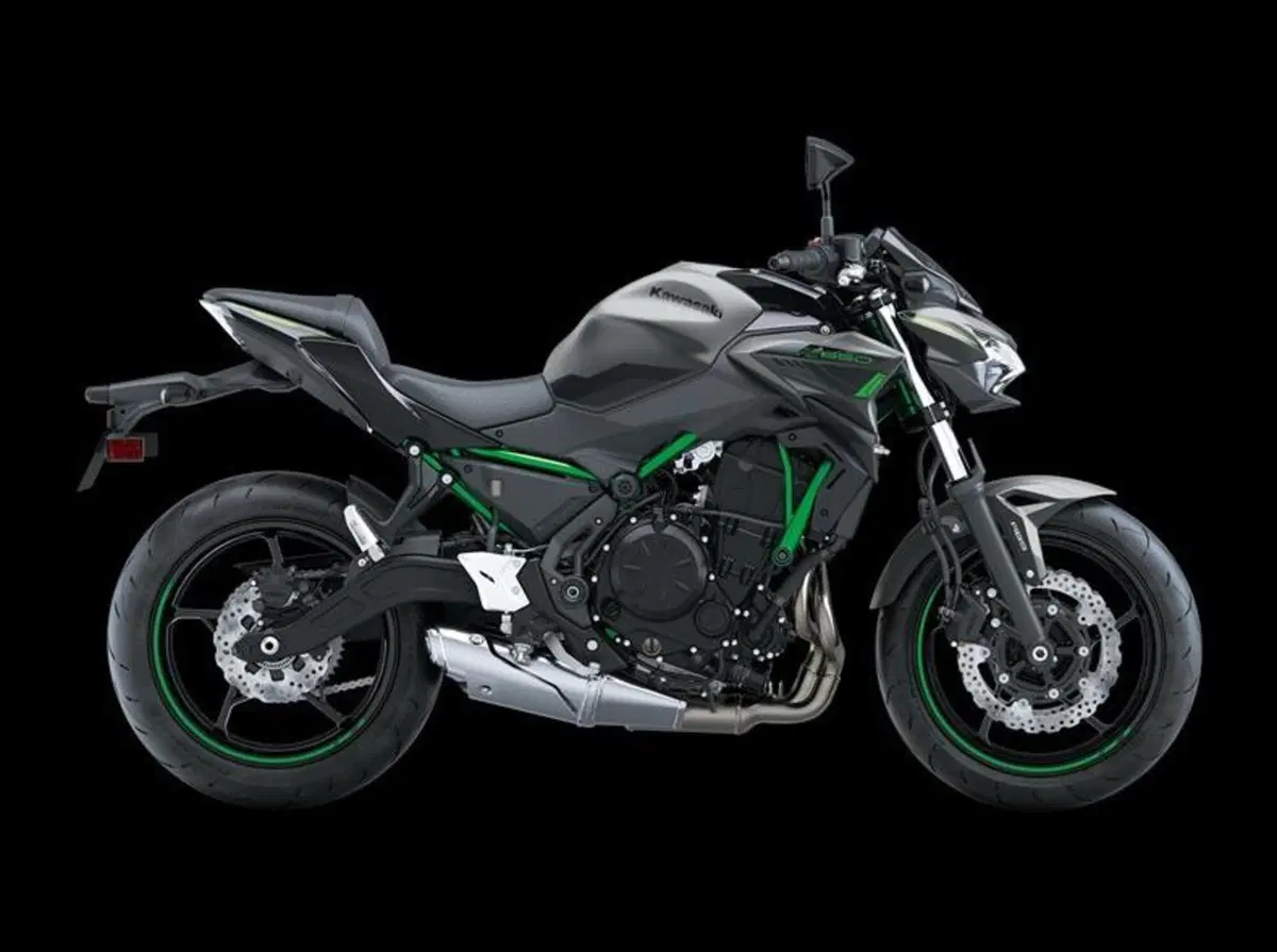 Kawasaki Z 650 (2021 - 24)