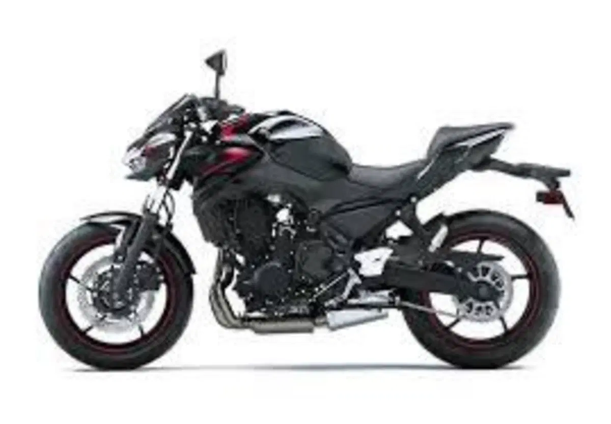 Kawasaki Z 650 (2021 - 24) (2)