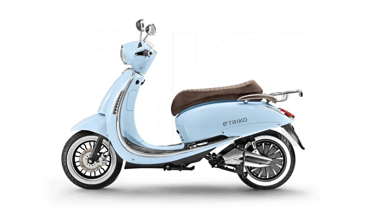 Etriko Skg SK1 SK1 Premium (2022 - 23) (3)