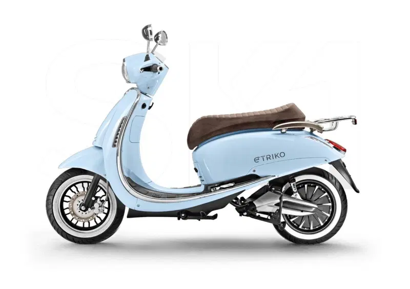 Etriko Skg SK1 SK1 Premium (2022 - 23) (3)
