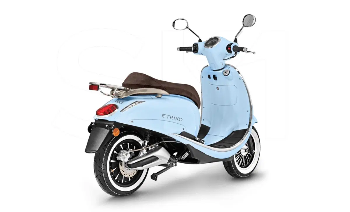 Etriko Skg SK1 SK1 Premium (2022 - 23) (4)