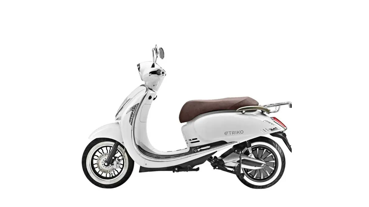 Etriko Skg SK3 SK3 Premium (2022 - 23) (3)