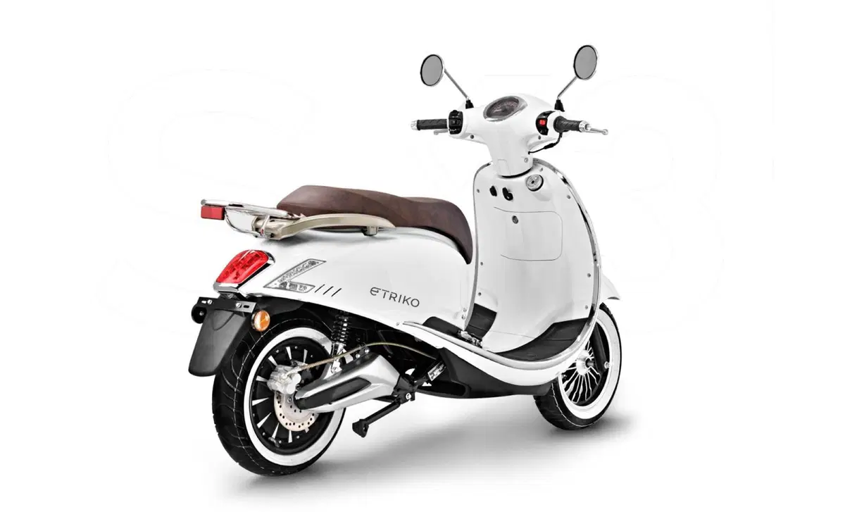 Etriko Skg SK3 SK3 Premium (2022 - 23) (4)
