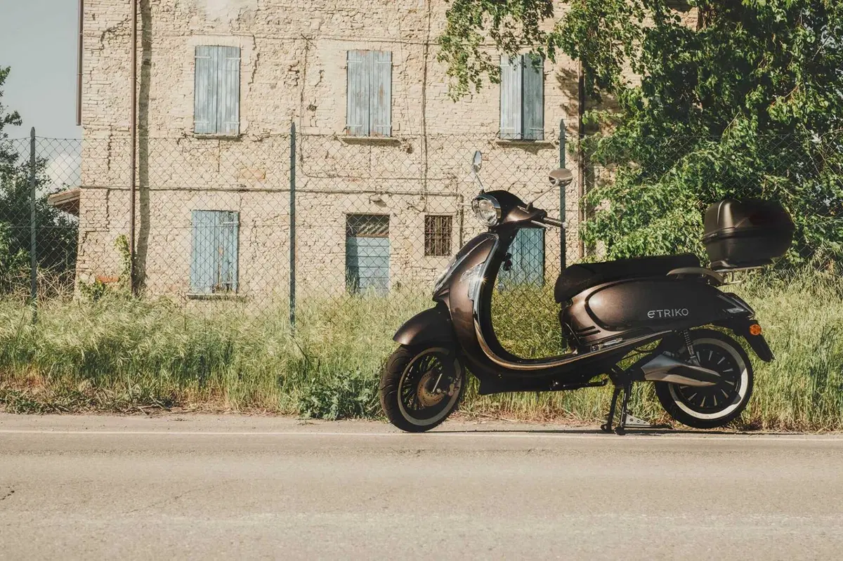 Etriko Skg SK3 SK3 Premium (2022 - 23) (9)