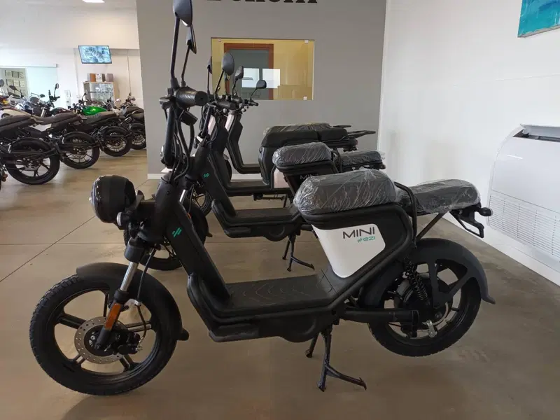E-ZI Mini MS (2023 - 25)