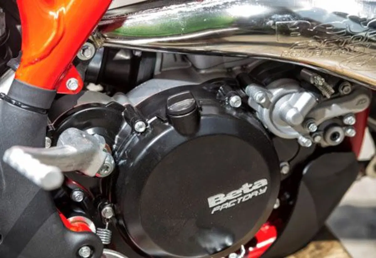 Betamotor RR 250 2T RR 250 2T Enduro (2014) (10)