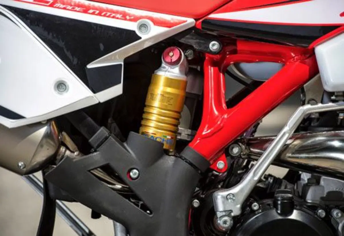 Betamotor RR 250 2T RR 250 2T Enduro (2014) (11)