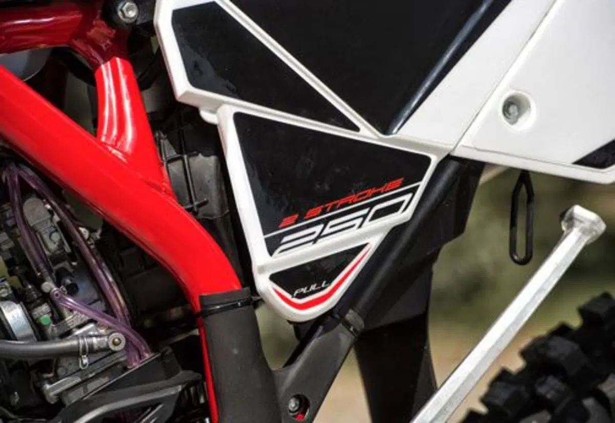 Betamotor RR 250 2T RR 250 2T Enduro (2014) (17)