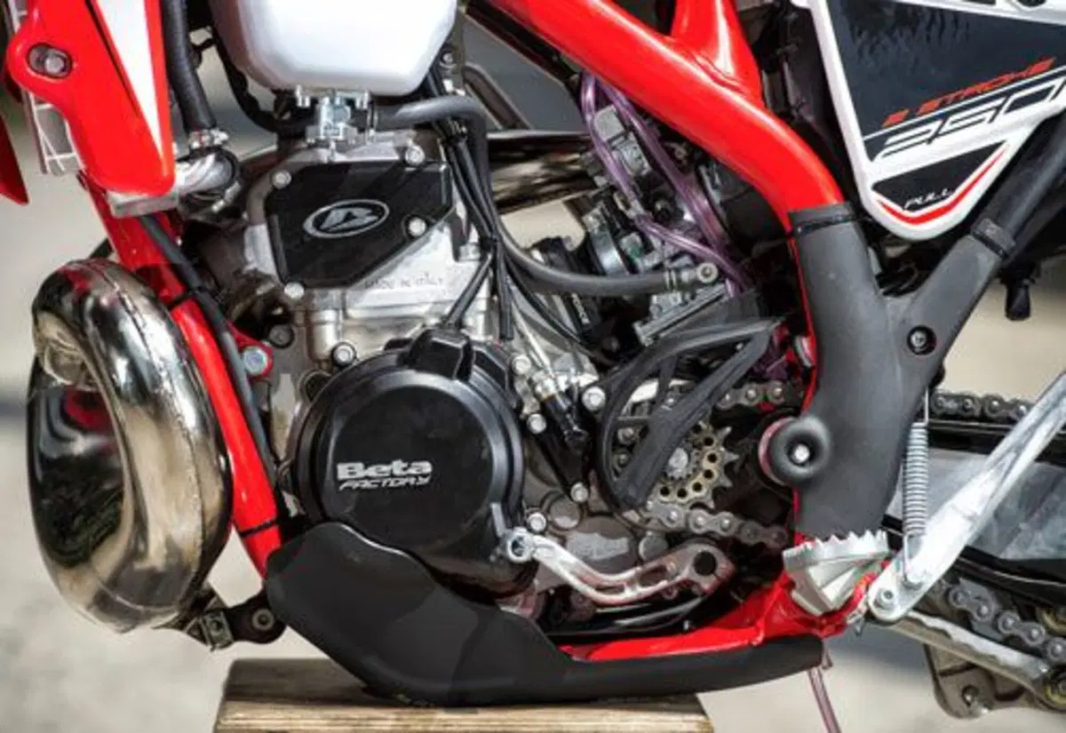 Betamotor RR 250 2T RR 250 2T Enduro (2014) (18)