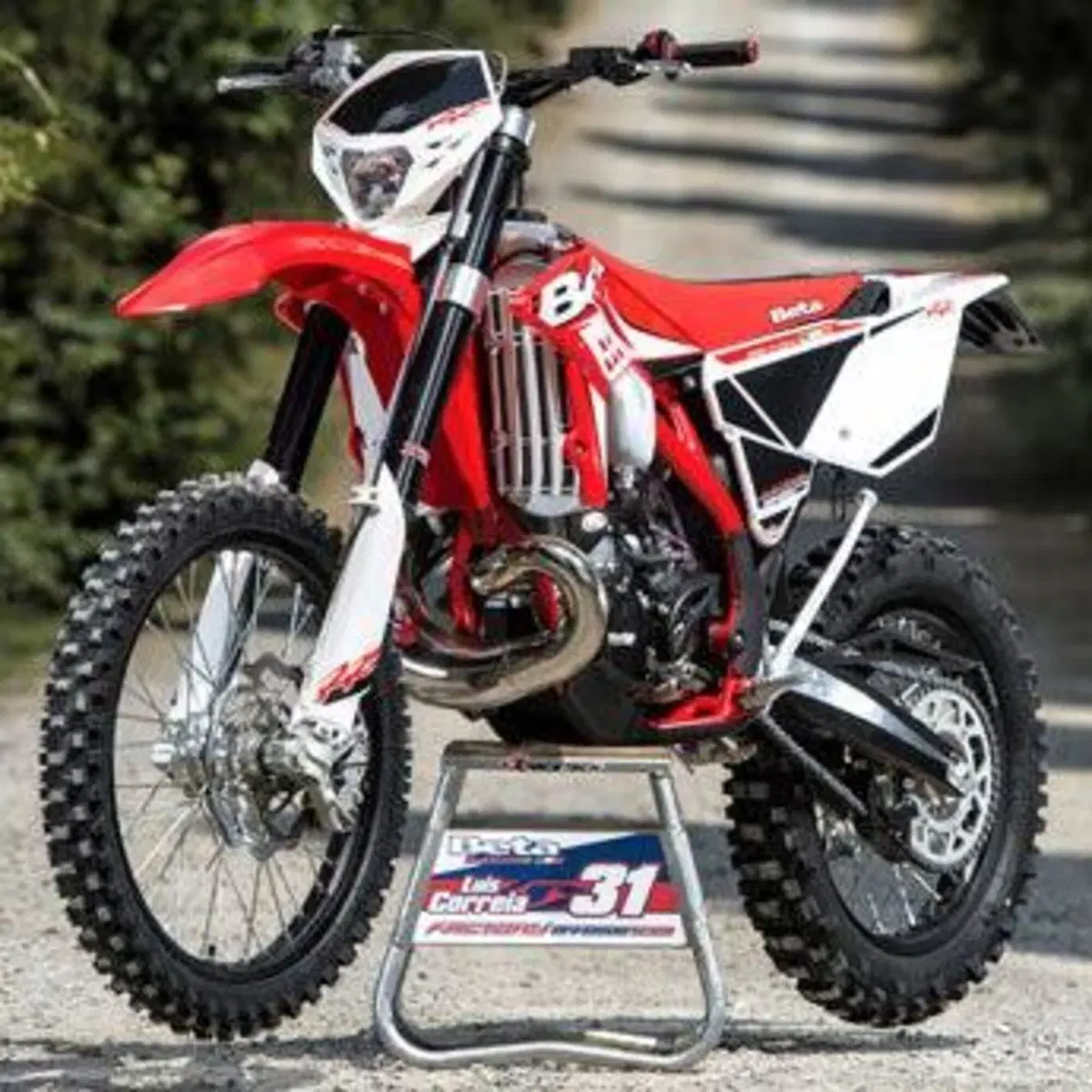 Betamotor RR 300 2T Enduro (2014)