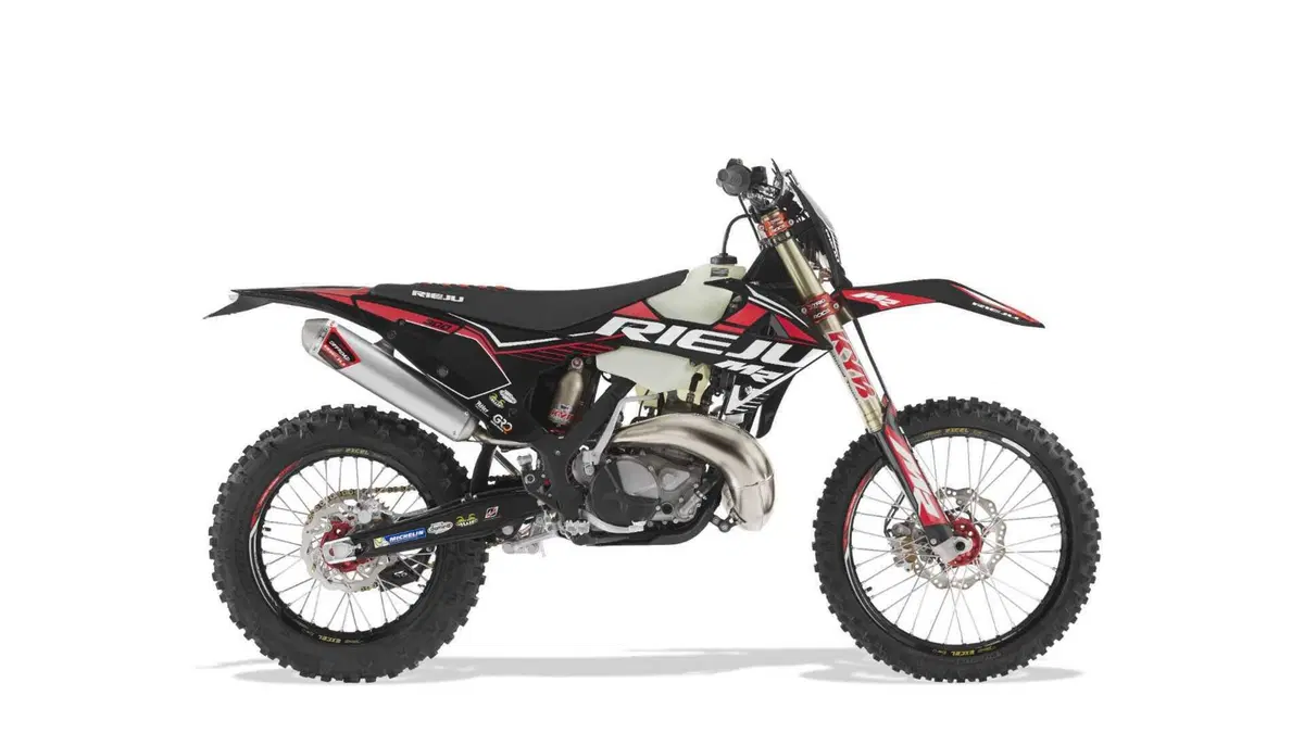 Rieju MR 300 MR 300 Pro (2023) (2)