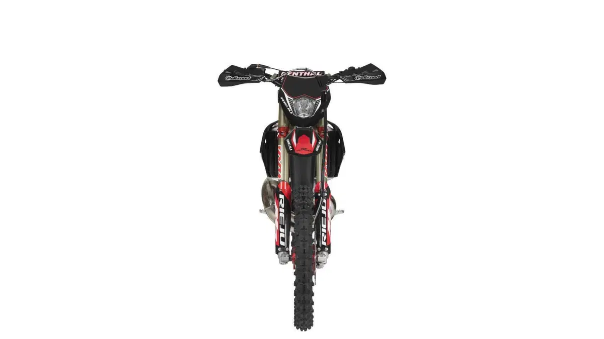 Rieju MR 300 MR 300 Pro (2023) (5)