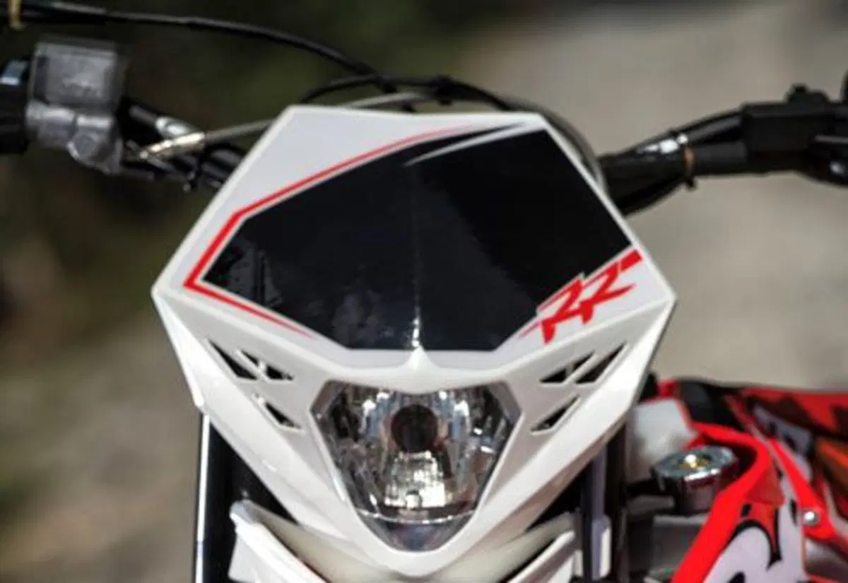 Betamotor RR 300 2T RR 300 2T Enduro (2014) (7)