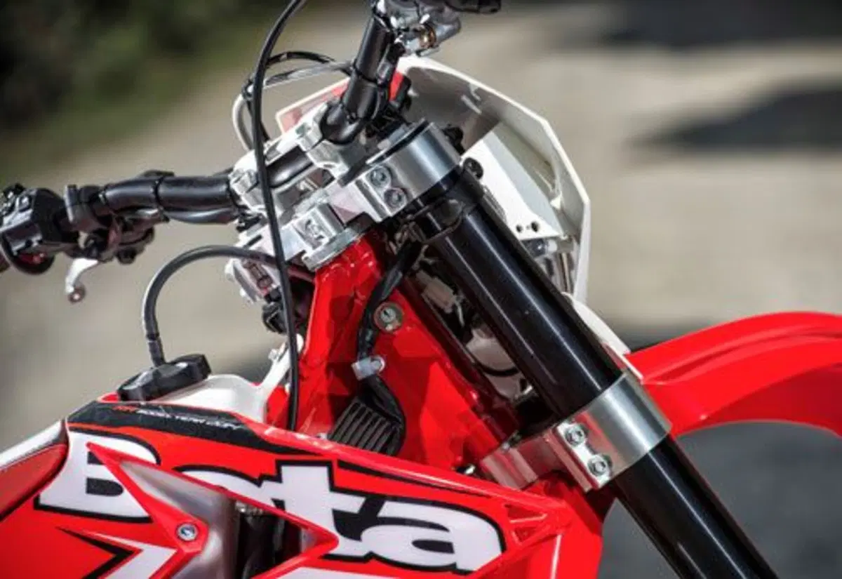 Betamotor RR 300 2T RR 300 2T Enduro (2014) (8)