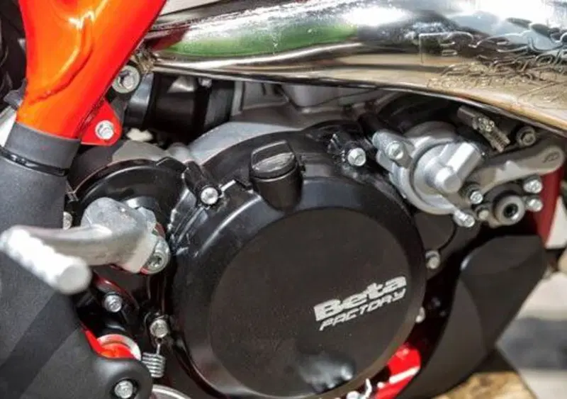 Betamotor RR 300 2T RR 300 2T Enduro (2014) (10)