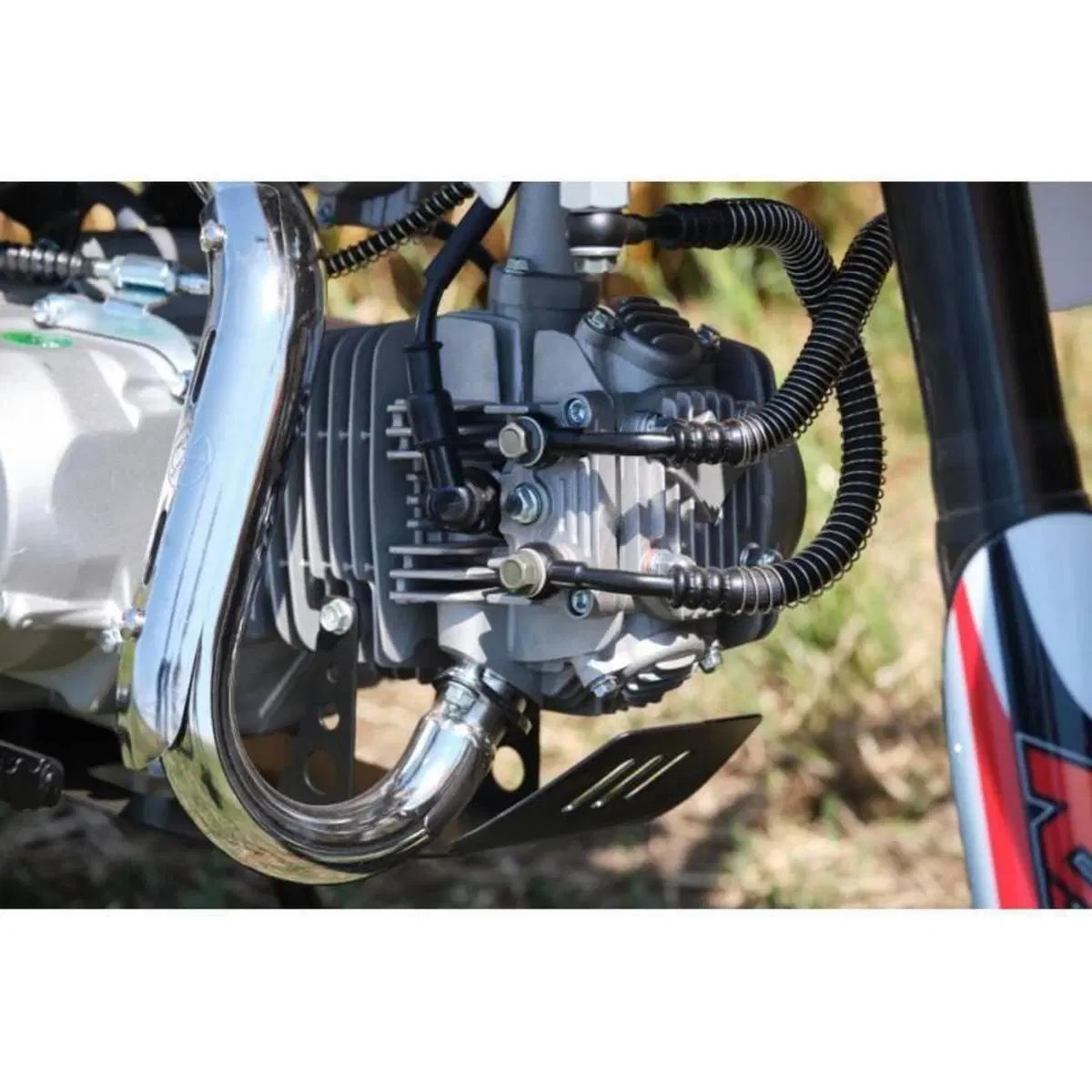  Altre moto o tipologie Pitbike (11)