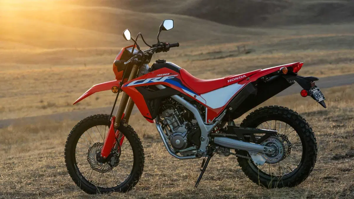 Honda CRF 300L CRF 300L (2021 - 24) (7)