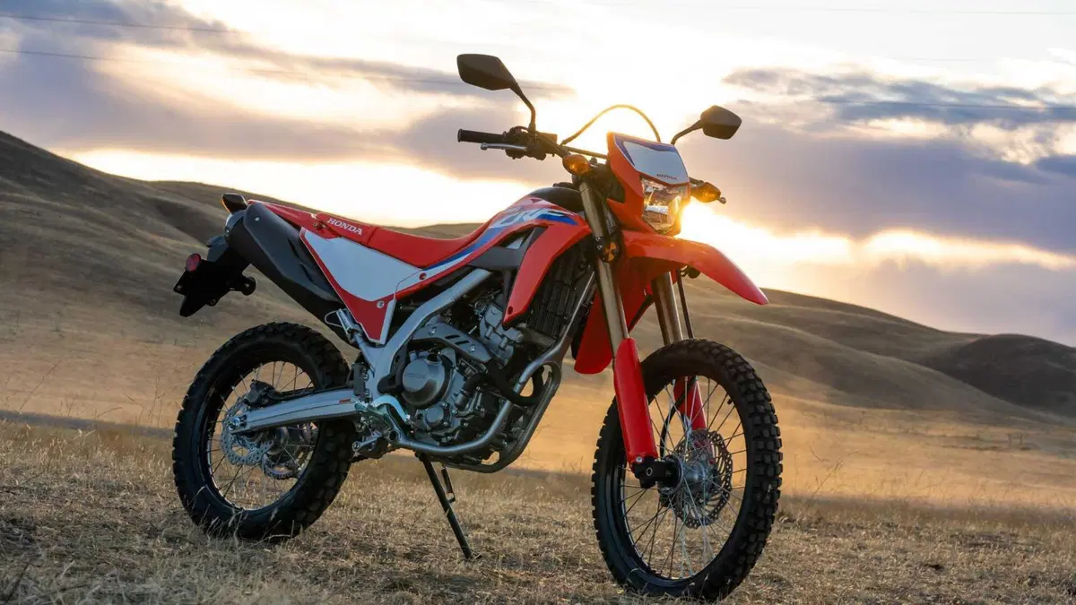 Honda CRF 300L CRF 300L (2021 - 24) (8)