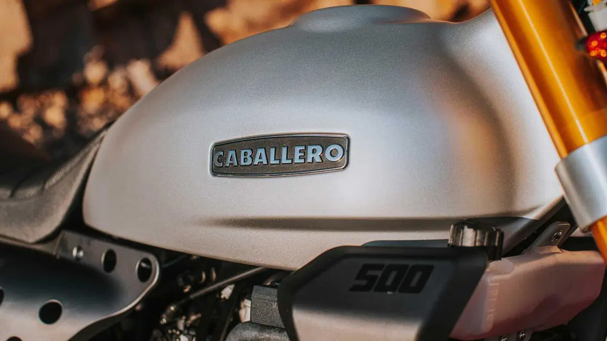 Fantic Motor Caballero 500 Caballero 500 Flat Track (2021 - 24) (6)