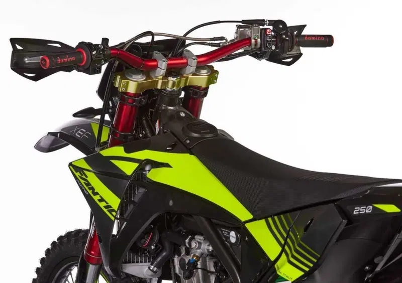 Fantic Motor XEF 250 XEF 250 Enduro Trail Competition (2023 - 25) (21)